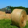 Plain net mesh fabric for decoration mesh fabric for clothing hay bale net warp for corn silage christmas tree net