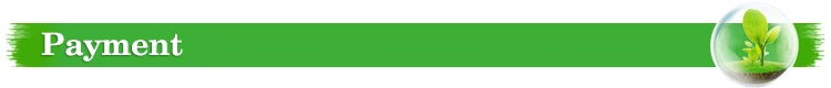 Payment.jpg