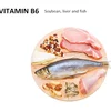 Keep Busy Minds Relaxed & Supports Serotonin Increase B Vitamins