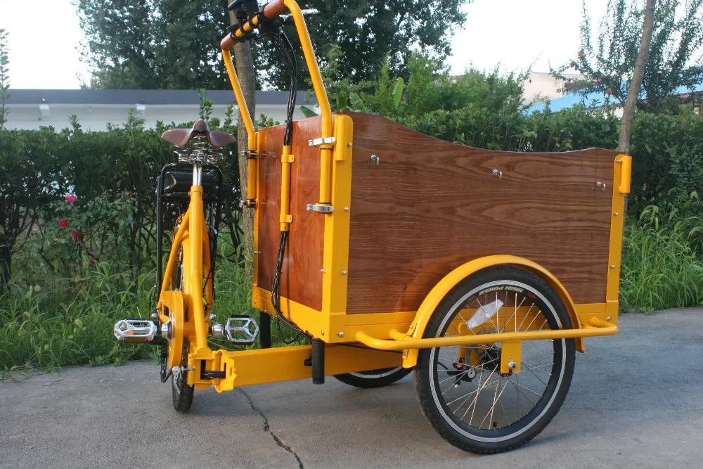 Overseas Aftersales Service Provided Adult Folding Electric Tricycle Stainless Steel Frame