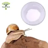 Cosmetic Ingredient Snail slime extract powder