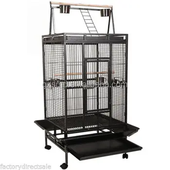 parrot and cage for sale