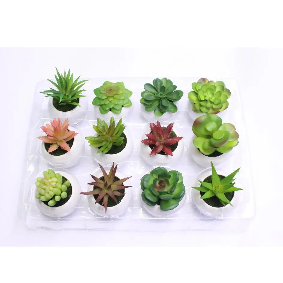 Amazon Hot Sell Artificial Potted Succulent Mini Succulent Plants For