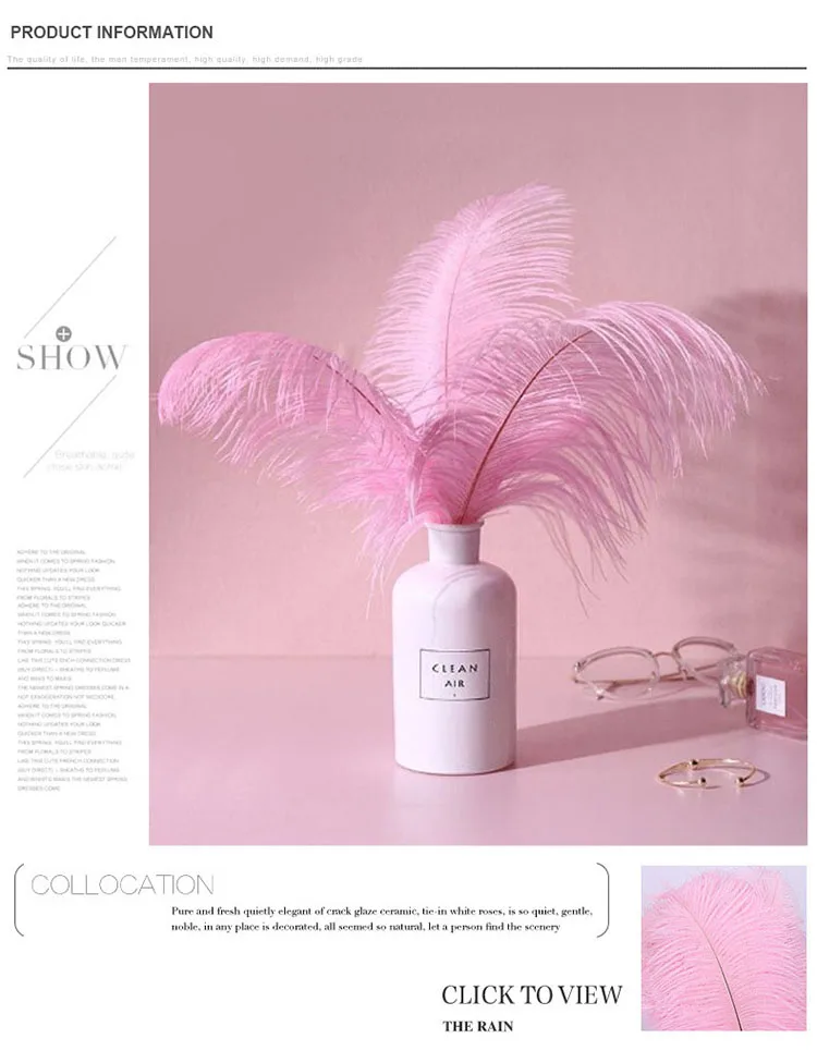 2530cm White South Africa Ostrich Feathers Buy Different Colours