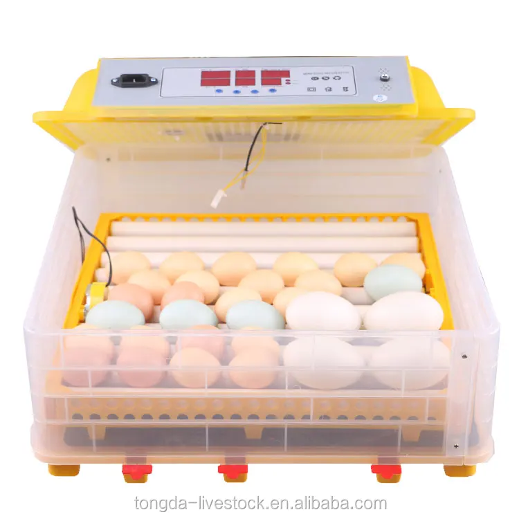 Best egg incubator australia