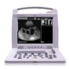 convex linear ultrasound scanning diagnostic system with high resolution