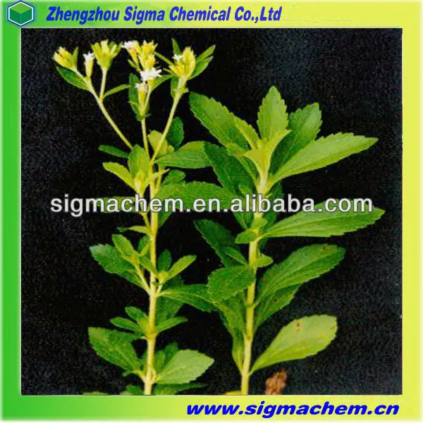 2Stevia Extract.jpg