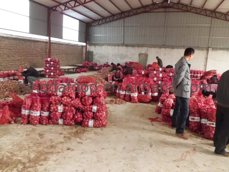 watermark9e385CIMG1263