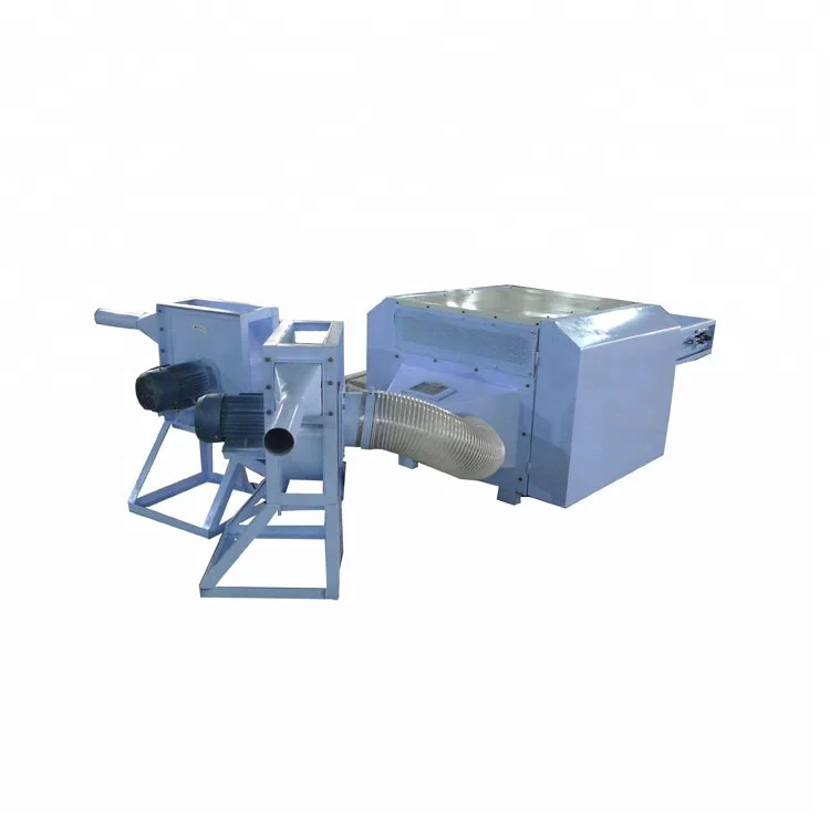 p6.jpg