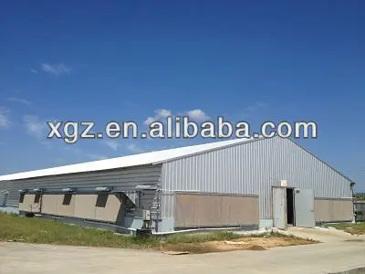 Light steel structure poultry house design/chicken poultry house