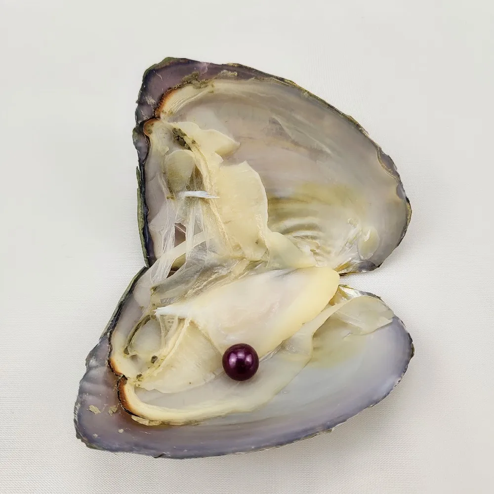 single,3a grade 34 colors natural freshwater pearl in oyster