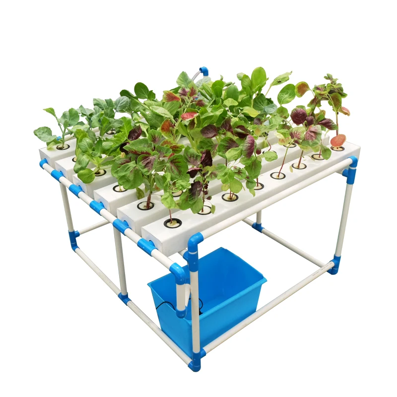 hydroponic 1.jpg