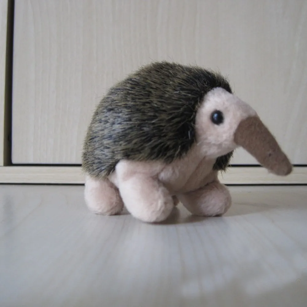 echidna soft toy