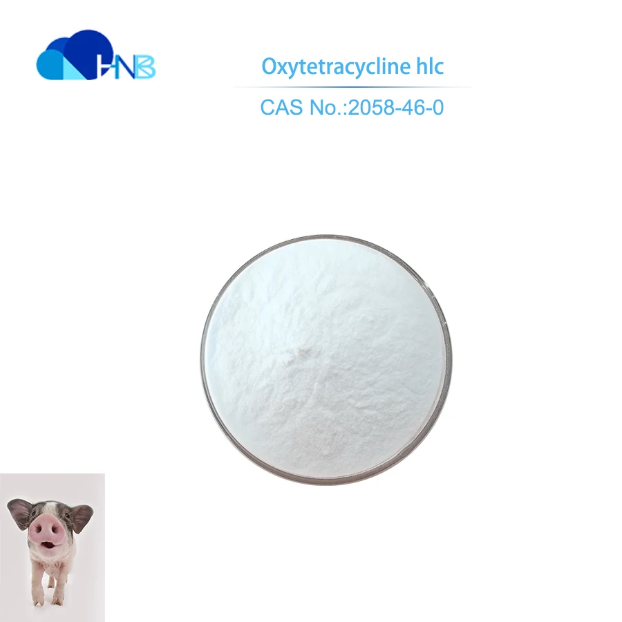 Turkish Foto Alibaba Com Da Turkish Goruntu Uzerinde Fotograf Galerisi Turkish Foto Alibaba Com Da Turkish Goruntu Uzerinde Fotograf Galerisi