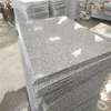 China Quarry Direct Supply Flamed exterior stone grey color granite G603