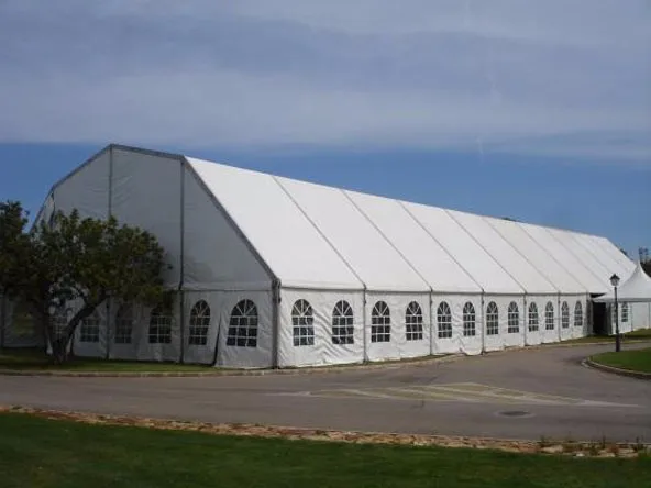 南非德班开普敦约翰内斯堡热卖多边形屋顶帐篷帐篷