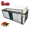 Chinese Date Nucleus Pitting Machine|Jujube Core Remover Machine|Date Kernal Removing Machine