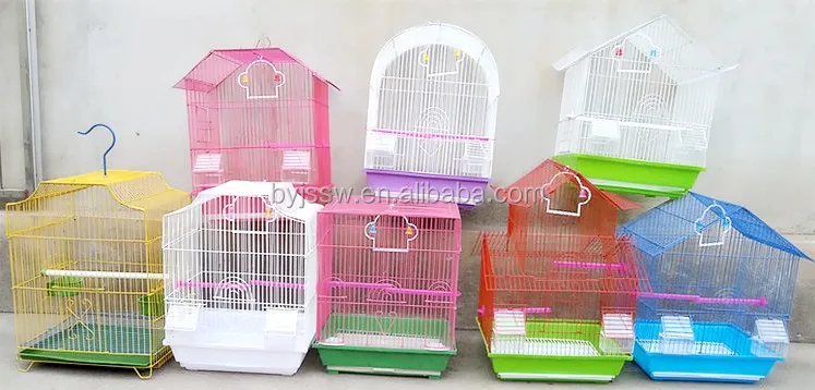 cage bird canary