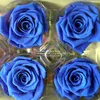 Long Stemmed Eternal Flame Rose Bush Available All The Time For Hotel Decoration