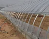 UV protection transparent tunnel plastic greenhouse film for agriculture