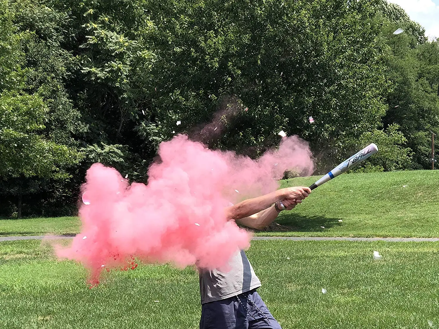 gender reveal baseball 2