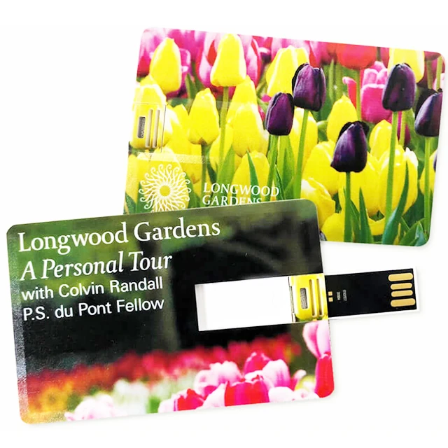promotional disk on key card with free printing and data insert 1GB 2GB 4GB 8GB - ANKUX.COM