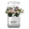 Custom Smart Indoor garden beautiful flower lamp desktop hydroponic plant desk led grow light