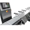 Vegetable Weight Sorting Machine for tomato,pear,kiwi fruit,apple JZW-100g