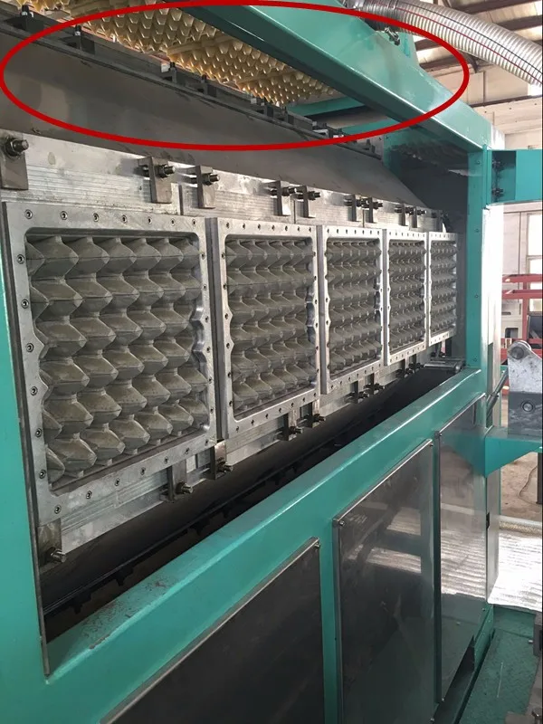 Eggs production essay picture