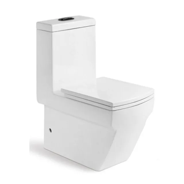 Bathroom Sanitary Ware Porcelain Floor Mounted Upc One Piece China Wc