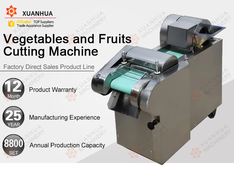 indian onion chopper