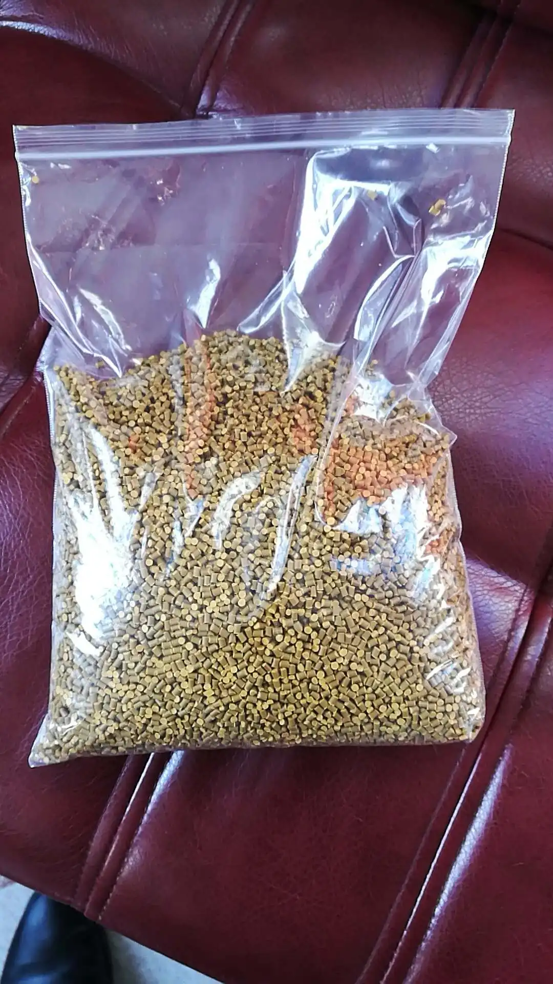 plastic gold masterbatch.jpg