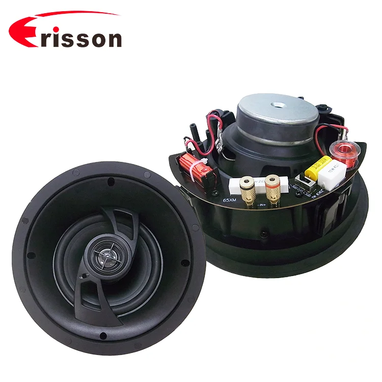 Best Oem 6.5" 40w In Ceiling Mount Wireless Speakers System For Ceiling