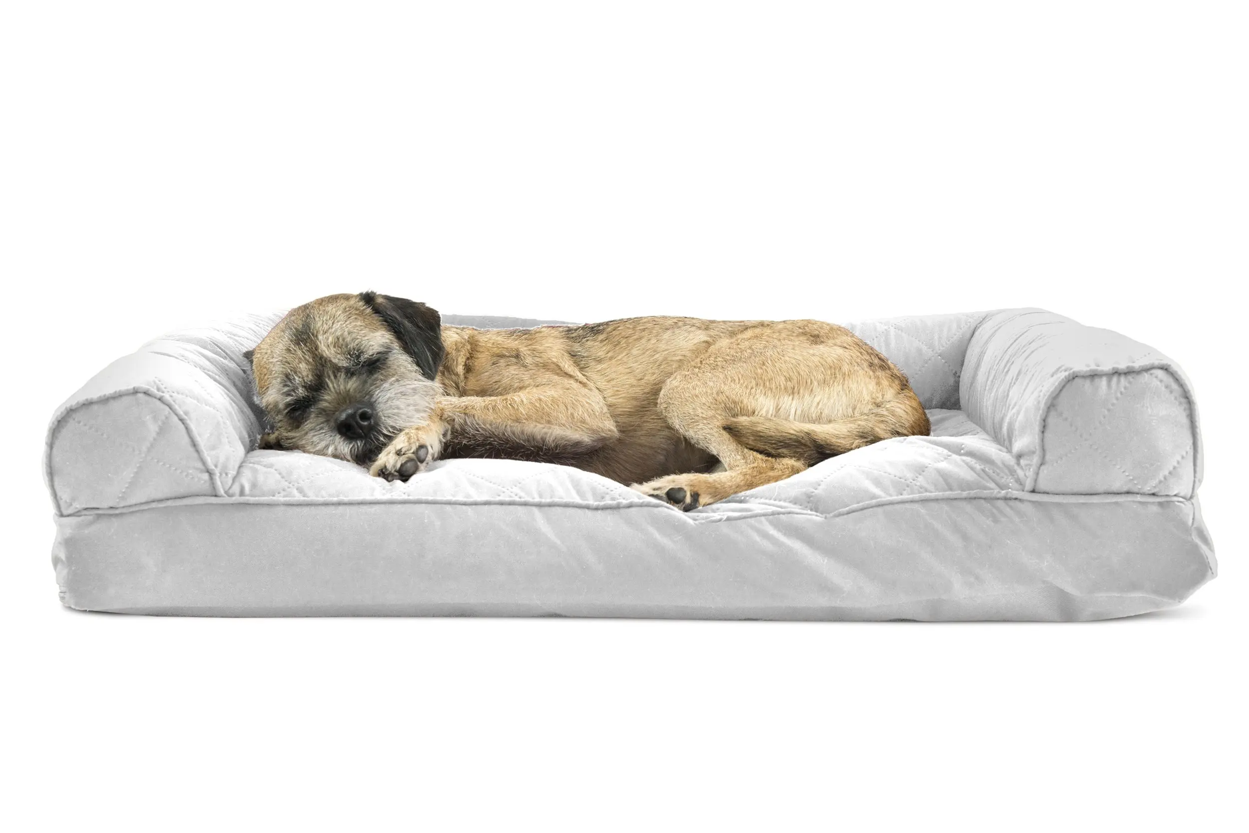 frontgate comfy couch pet bed