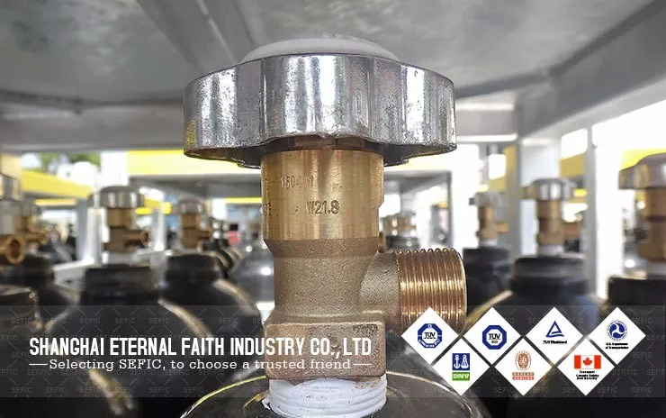 Gas cylinder valve 024