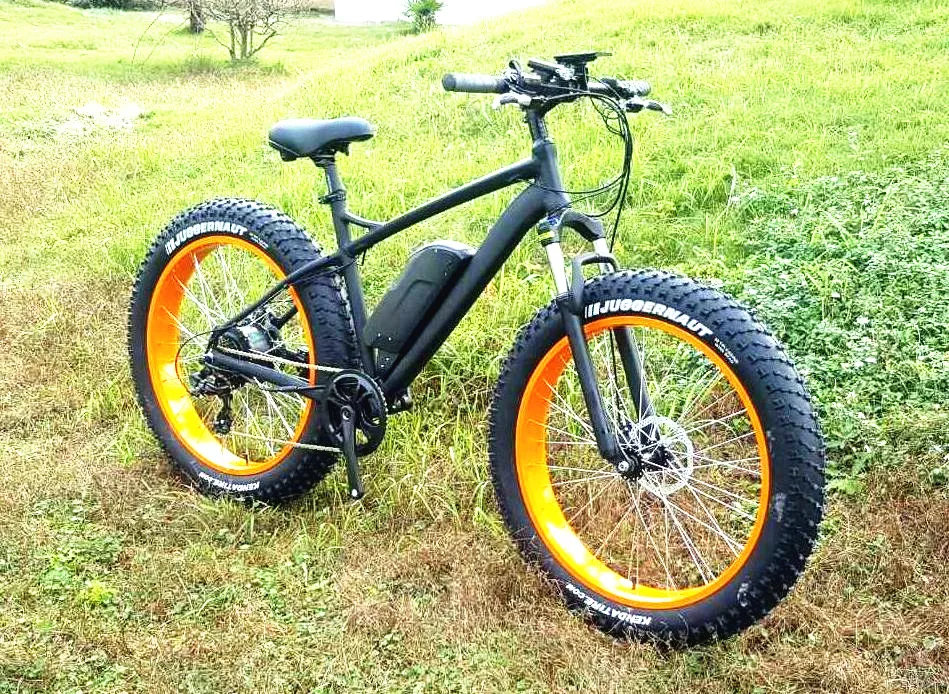 ecycle in egypt