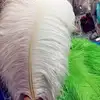 15-80 cm White Ostrich Plume Feathers Large Decorative Feathers