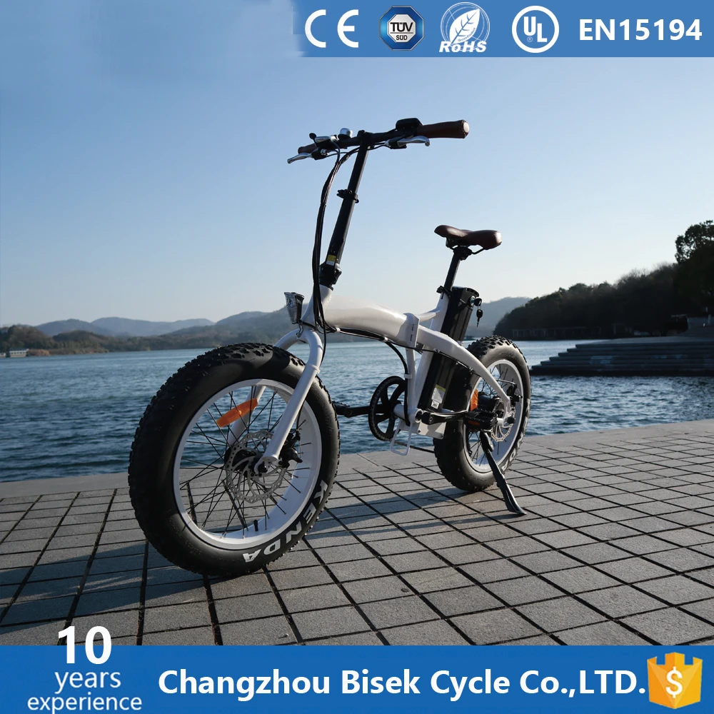 20inch Electric Bicycle Easy Rider Foldable E Bicycle/bike 500w/750w