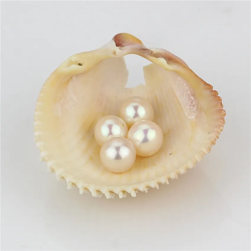 Pearl Jewelry Loose Pearl Decoration Aaa 7-7.5mm Round White Natural ...