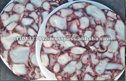 Octopus.jpg
