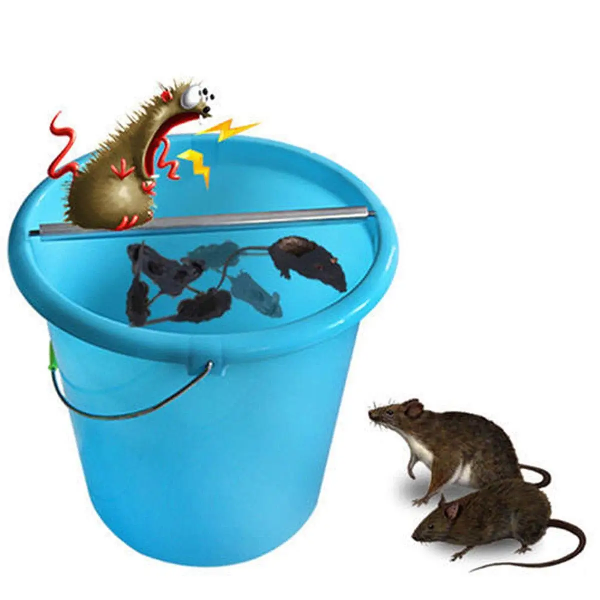 Cheap Mouse Bucket, find Mouse Bucket deals on line at Alibaba.com