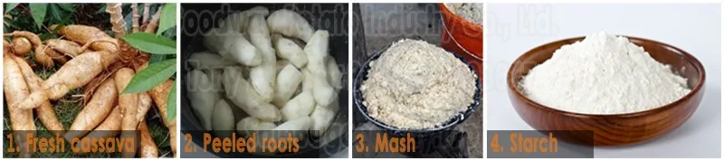 From cassava to starch