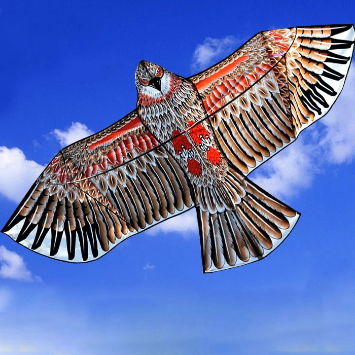 kite bird vs eagle
