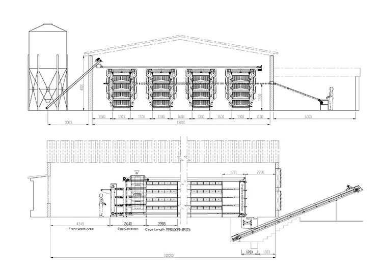 Drawing Design Poultry Farm Layer Chicken House Buy Pakistan Poultry Farmchicken Cage For Pakistan Farmbattery Chicken Cage For Pakistan Farm