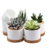 /product-detail/antique-ceramic-succulents-flower-pots-for-home-decor-60478705142.html