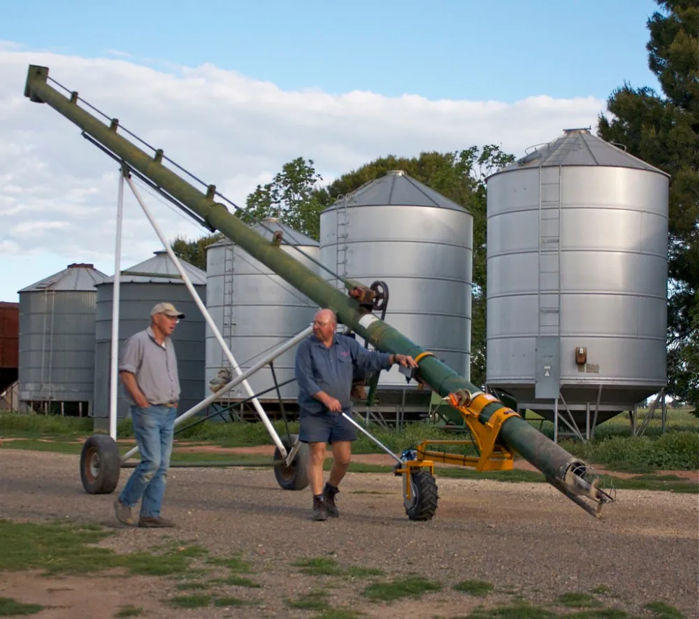 Hopper Stainless Steel Grain Auger Conveyor Buy Hopper Auger Conveyor