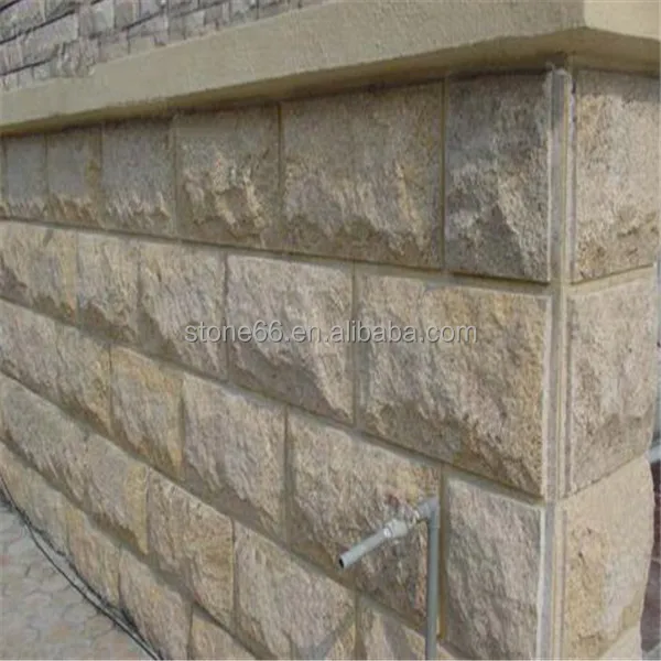 G682 mushroom 01.jpg