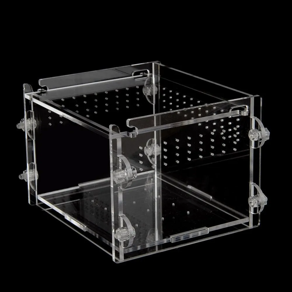 Acrylic Green Spider Cages Snake Box - Buy Spider Cages Snake Box,Green ...