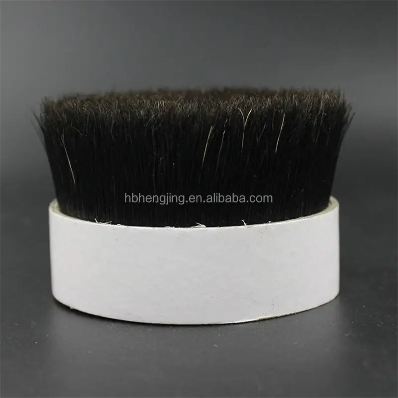 black bristle.jpg