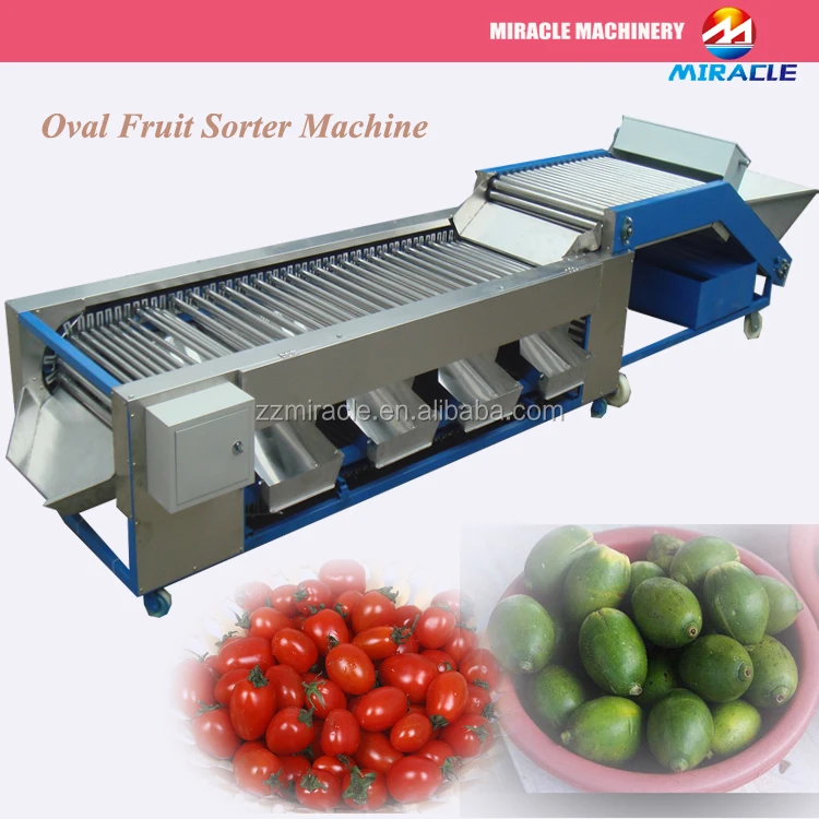 6 Levels Fruit Sizer Radial Onion Grader Buy Radial Onion Grader